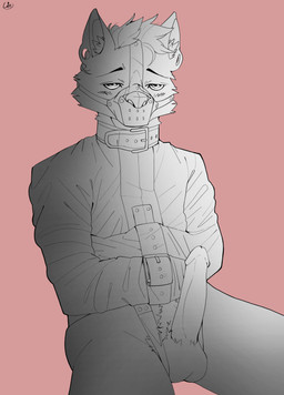 anthro balls bdsm blush bondage bondage_gear bound collar erection fur genitals hair humanoid_genitalia humanoid_penis leather looking_at_viewer male muzzle_(object) muzzled nude penis restraints simple_background sitting snout solo straitjacket submissive 100racs canid canine mammal absurd_res hi_res sketch
