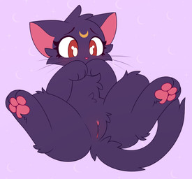 blush body_blush cheek_tuft clitoris covering covering_mouth covering_self embarrassed eyelashes facial_tuft female feral genitals head_tuft pawpads paws pink_nose pink_pawpads pupils simple_background solo spread_legs spreading tail tuft vulva vulva_blush whiskers white_pupils drawwhenhorny sailor_moon_(series) luna_(sailor_moon) domestic_cat felid feline felis mammal 2026 colored digital_drawing_(artwork) digital_media_(artwork) flat_colors hi_res