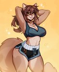 anthro athletic athletic_anthro athletic_female athletic_wear big_breasts bodily_fluids bottomwear bra breasts brown_hair clothing dolphin_shorts female fluffy fluffy_tail freckles fur gym_bottomwear gym_shorts hair hands_behind_head hotpants lips looking_at_viewer midriff shorts smile solo sports_bra sweat tail tan_body tan_fur underwear wide_hips littlesheep domestic_cat felid feline felis mammal hi_res