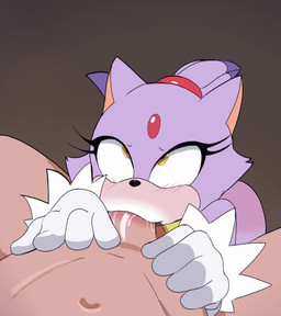 anthro blowjob_face duo fellatio female male male/female oral penile sex hereapathy nibv sound_warning third-party_edit sega sonic_the_hedgehog_(series) blaze_the_cat felid feline human mammal animated hi_res huge_filesize sound sound_edit webm