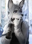 anthro black_nose blurred_background breasts clothed clothing duo eyebrows eyelashes female fur hair long_hair white_body white_fur white_hair vagabondbastard canid canine fox mammal digital_media_(artwork) hi_res