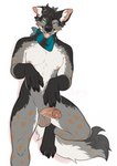 anthro balls black_body black_fur black_hair black_kerchief black_neckerchief black_nose blep blue_eyes blue_kerchief blue_neckerchief brown_body brown_fur erection front_view fur genitals green_eyes grey_balls grey_body grey_fur hair heterochromia humanoid_genitalia humanoid_penis kerchief kneeling male markings messy_hair narrowed_eyes neckerchief nude orange_eyes penis pink_penis simple_background solo spots spotted_body spotted_fur tongue tongue_out white_background white_body white_fur seraphictiger canid canine canis mammal wolf hi_res signature