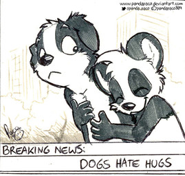 anthro black_body black_fur black_nose closed_smile duo floppy_ears fur hug hugging_another hugging_from_behind male mouth_closed nude outside smile text white_body white_fur young young_anthro young_male pandapaco parinton roni_(imroni) bear border_collie canid canine canis collie domestic_dog giant_panda herding_dog mammal pastoral_dog sheepdog english_text monochrome url