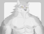 abs anthro beard biceps facial_hair fur grey_body grey_fur male muscular muscular_anthro muscular_male nipples pecs shirtless solo yellow_eyes hoang_nguyen sdorica law_(sdorica) canid canine canis mammal wolf hi_res