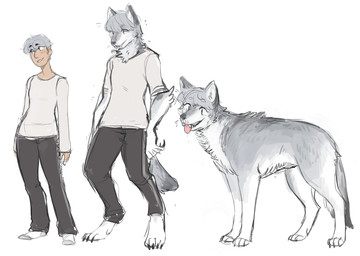 anthro base_one_layout basic_sequence blush clothed clothing feral footwear fur grey_body grey_fur grey_hair hair happy human_to_feral legwear linear_sequence looking_at_viewer male one_row_layout open_mouth smile socks solo species_transformation three_frame_image three_frame_sequence tongue transformation transformation_sequence gemskull atlus megami_tensei persona_(series) persona_4 sega yu_narukami canid canine canis human mammal wolf sequence