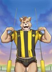 anthro barazoku bottomwear bulge clothing humanoid_hands jersey kemono male muscular rugby shirt shorts sky solo topwear uniform pongotora canid canine canis domestic_dog mammal shiba_inu spitz absurd_res hi_res