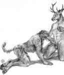 anthro balls duo erection genitals licking looking_pleasured male male/male male_penetrated male_penetrating male_penetrating_male oral penetration penile penis penis_lick predator/prey sex simple_background tail tongue tongue_out white_background blotch canid canine canis deer domestic_dog hunting_dog irish_wolfhound mammal sighthound hi_res monochrome