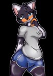 anthro blouse blue_bottomwear blue_clothing blue_shorts bottomwear breasts clothing dolphin_shorts female looking_at_viewer shorts smile solo topwear skade_nsfw_(artist) skade skade_the_fox canid canine canis fox hybrid mammal wolf alpha_channel