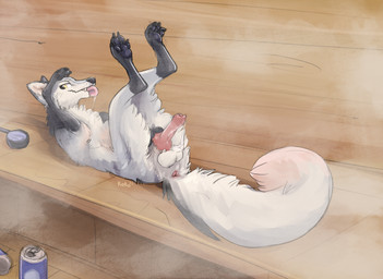 animal_genitalia animal_penis anus balls beverage_can bodily_fluids butt canine_genitalia canine_penis cum ejaculation erection feral fluffy fluffy_butt fluffy_chest fluffy_tail fur genital_fluids genitals grey_body grey_fur kitchen_utensils knot knotted_penis ladle legs_up looking_at_viewer lying male masturbation on_back pawpads penile penile_masturbation penis pink_anus presenting presenting_hindquarters presenting_penis salmon_fur sauna solo steam tail text tongue tongue_out tools white_body white_fur yellow_eyes queenkoko beloved_(kettukarkki) canid canine fox mammal red_fox silver_fox true_fox absurd_res english_text hi_res