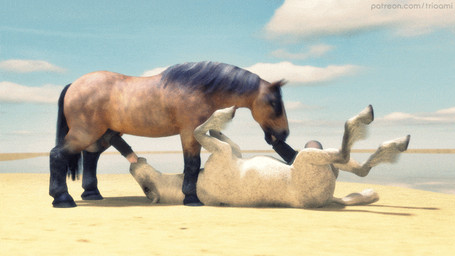 69_position animal_genitalia animal_penis balls beach duo equine_genitalia equine_penis erection fellatio feral feral_on_feral feral_penetrated feral_penetrating feral_penetrating_feral genitals intraspecies lying male male/male male_penetrated male_penetrating male_penetrating_male mutual_fellatio mutual_oral mutual_penetration on_back oral oral_only oral_penetration outside penetration penile penile_penetration penis quadruped realistic_feral sand seaside sex sex_on_the_beach sky sucking trioami260 equid equine horse mammal 3d_(artwork) 3d_animation animated digital_media_(artwork) loop