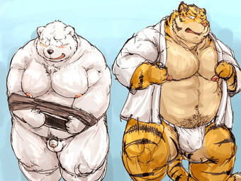 anthro asian_clothing barazoku belly big_belly blush clothed clothing duo east_asian_clothing flaccid foreskin front_view fundoshi genitals humanoid_genitalia humanoid_penis japanese_clothing kemono looking_at_another male muscular obese open_clothing open_shirt open_topwear overweight partially_retracted_foreskin penis shirt simple_background standing topwear underwear undressing white_clothing white_underwear kotobuki third-party_edit bear felid mammal pantherine polar_bear tiger ursine 2015 censor_removal_edit