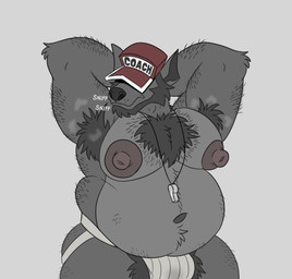 anthro arm_hair armpit_hair belly big_belly black_body black_fur black_hair black_nose body_hair bulge chest_hair clothing coach fur hair hat headgear headwear jockstrap leg_hair male mature_male musclegut muscular musky_armpit nipples solo stink_fumes underwear tenderule34 canid canine canis mammal wolf