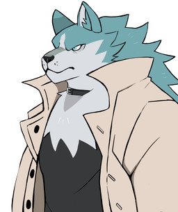 anthro black_clothing black_shirt black_topwear blue_body clothed clothing coat collar frown fur inner_ear_fluff male open_clothing open_coat open_topwear shirt simple_background solo standing topwear tuft white_background darknaigart brand_new_animal studio_trigger shirou_ogami canid canine canis mammal wolf 2021 hi_res