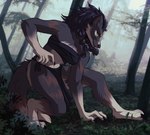 anthro detailed_background female fur multicolored_body multicolored_fur solo tribal mirtilo blizzard_entertainment mythology warcraft canid canine mammal mythological_canine mythological_creature werecanid werecanine werecreature werewolf worgen hi_res