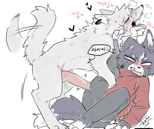 animal_genitalia animal_penis anthro anthro_on_feral aroused bestiality black_heart blush bodily_fluids bottomwear canine_genitalia canine_penis clenched_teeth clothed clothing digitigrade drooling duo ear_piercing ear_ring erection eyes_closed fangs feral fully_clothed fur genital_fluids genitals grey_body grey_fur heart_after_text jacket knot knotted_penis leaking_precum leaning_on_wall looking_at_another male male/male male_anthro male_feral motion_lines narrowed_eyes onomatopoeia pants penis phone_on_ground piercing pinned precum precum_on_clothing quadruped raised_leg raised_tail red_clothing ring_piercing saliva saliva_string scar side_view simple_background sitting sitting_on_ground sound_effects speech_bubble sweat sweatdrop tail tail_motion teeth text topwear vibrating white_background vitame83 canid canine canis domestic_dog mammal 6:5 hi_res korean_text translated