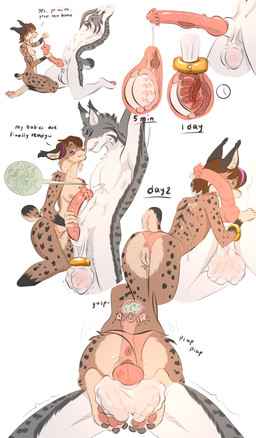 animal_genitalia animal_penis anthro anus arched_back ball_stretcher balls big_balls bodily_fluids breasts clothing clothing_aside cock_and_ball_torture cowgirl_position cum cum_inside duo epididymis equine_genitalia equine_penis female female_dominating_male from_front_position genital_fluids genital_torture genitals infestation infesticles knot male male/female nipples on_bottom on_top ovaries panties panties_aside parasite parasite_in_urethra parasite_transfer penis saggy_balls sex size_difference small_breasts sound_effects text underwear underwear_aside urethral uterus x-ray_view cutiecut felid feline lynx mammal absurd_res english_text hi_res