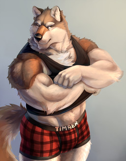 anthro biceps biped black_clothing black_nose black_shirt black_topwear brown_body brown_fur brown_tail clothed clothing clothing_lift eyebrows fur grey_background humanoid_hands inner_ear_fluff male multicolored_body multicolored_fur muscular muscular_anthro muscular_male muscular_thighs one_eye_closed pattern_clothing pattern_underwear plaid plaid_clothing plaid_underwear shirt shirt_lift simple_background solo tail tan_body tan_eyebrows tan_fur tank_top text thick_eyebrows topwear triceps tuft two_tone_body two_tone_fur underwear undressing yellow_eyes adios canid canine canis mammal wolf 2015 colored english_text hi_res