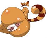 anthro anus big_anus big_butt black_eyes blush breasts brown_fur brown_nose butt eyelashes female fur happy looking_at_viewer looking_back lying nude on_side orange_fur plain_background presenting presenting_hindquarters presenting_pussy pussy raccoon sechomi11 shadow shiny side_boob smile solo white_background white_eyes white_fur
Rating: Explicit
Score: 6
User: toh
Date: October 13, 2013