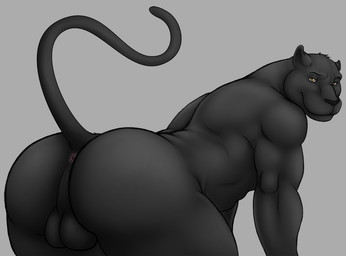 abs anthro anus back backsack balls bent_over biceps big_balls big_butt big_muscles black_body black_fur black_nose black_panther butt feline fur grey_background kneeling looking_at_viewer looking_back male mammal muscles nude panther perineum plain_background pose presenting presenting_hindquarters raised_tail side_view smile solo vamplust yellow_eyes
Rating: Explicit
Score: 16
User: Kakuya
Date: December 09, 2012 abs anthro anus back backsack balls bent_over biceps big_balls big_butt big_muscles black_body black_fur black_nose black_panther butt feline fur grey_background kneeling looking_at_viewer looking_back male mammal muscles nude panther perineum plain_background pose presenting presenting_hindquarters raised_tail side_view smile solo vamplust yellow_eyes
Rating: Explicit
Score: 16
User: Kakuya
Date: December 09, 2012