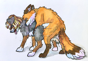 all_fours ambiguous_gender ambiguous_penetration balls black_body bodily_fluids bouncing_balls brown_body brown_eyes brown_fur brown_hair doggystyle duo feral feral_on_feral feral_penetrated feral_penetrating feral_penetrating_feral from_behind_position fur genital_fluids genitals hair looking_pleasured male male/ambiguous male_penetrating mating_grip motion_lines mounting nude open_mouth penetration penile penile_penetration quadruped sex simple_background smile tail teeth tongue tongue_out white_body white_fur ultranidd bernese_mountain_dog canid canine canis domestic_dog fox mammal molosser mountain_dog red_fox swiss_mountain_dog true_fox hi_res painting_(artwork) traditional_media_(artwork) traditional_painting_(artwork) traditional_watercolor_(artwork) watercolor_(artwork)