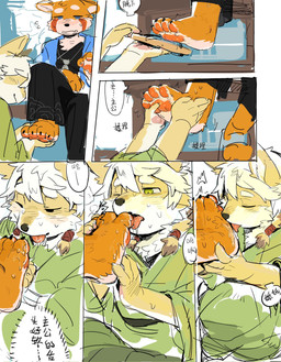 4_toes 5_fingers anthro asian_clothing bangs black_nose blue_eyes blush blush_lines border chest_tuft circle_eyebrows claws close-up clothed clothing comic_panel dialogue duo east_asian_clothing embarrassed eyebrows feet finger_claws fingers foot_fetish foot_focus foot_lick foot_play foot_rub footwear fur green_eyes hair japanese_clothing kimono licking male musk open_mouth orange_body orange_fur pawpads pink_pawpads ponytail red_body red_fur red_pawpads red_stripes sandals sandals_removed shoes smelly smelly_feet speech_bubble striped_body striped_fur stripes tan_body tan_fur text toe_claws toes tongue tongue_out tuft whiskers white_body white_border white_eyebrows white_fur white_hair artxtcy ailurid canid canine canis domestic_dog mammal red_panda chinese_text colored_sketch comic hi_res sequence sketch