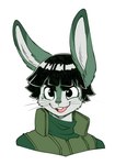 alternate_species anthro bowl_cut clothing eyebrows fur furrification green_body green_fur jacket long_ears male ninja smile solo thick_eyebrows topwear warrior fizzy-dog naruto rock_lee lagomorph leporid mammal rabbit bust_portrait hi_res portrait