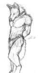 anthro biped bottomwear clothing collar harem loincloth male solo vellum tuuwa canid canine canis coyote mammal monochrome sketch