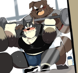 anthro athletic_wear barbell barbell_squats blush bodily_fluids bottomwear bulge clothing duo exercise footwear gym male mirror muscular muscular_anthro muscular_male open_mouth open_smile shirt shoes shorts smile socks squats sweat tank_top topwear weightlifting workout hyaku_(artist) canid canine canis domestic_dog mammal 2020