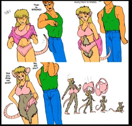 anthro bottomwear bra breasts butt_smack clothing duo female feral male male/female nude nude_anthro panties pants shirt shrinking shrinking_out_of_clothes size_transformation tail text topwear transformation transformation_sequence underwear picklejuice human humanoid mammal murid murine rat rodent english_text