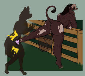 annoyed anthro back_muscles ballbusting balls bent_over big_breasts big_butt breasts brown_body brown_fur brown_hair butt cock_and_ball_torture dark_hair duo facial_piercing female fence flexing fur genital_torture genitals green_eyes hair hooves horn kick looking_back male markings multicolored_body multicolored_fur muscular nose_piercing nose_ring on_one_leg piercing pubes raised_tail rear_view ring_piercing spots spotted_body standing submissive submissive_male tail two_tone_body vulva rafitos european_mythology greek_mythology mythology bovid bovine mammal minotaur absurd_res hi_res