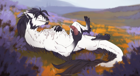 5_fingers 5_toes animal_genitalia animal_penis black_body black_fur bodily_fluids claws cum cum_on_belly cum_on_body cum_on_self detailed_background ejaculation erection eyes_closed feet feral fingers flower flower_field fur genital_fluids genitals grass holding_penis lying male masturbation on_back penile penile_masturbation penis plant sharp_teeth solo tail teeth text toes white_body white_fur skoren mythology dragon furred_dragon furred_scalie mythological_creature mythological_scalie scalie 2026 artist_name colored digital_drawing_(artwork) digital_media_(artwork) full-length_portrait hi_res portrait shaded