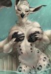 anthro beak big_breasts black_nipples black_pussy breasts feathered_wings feathers feet female genitals holding_breast jewelry legs_in_water leopard_spots looking_at_viewer multi_nipple necklace nipples non-mammal_breasts nude open_mouth partially_submerged pussy solo spots standing standing_in_water submerged_legs talons toes water wet wide_hips wings yellow_eyes thescarletartist mythology gibbs_(onom) avian gryphon mythological_avian mythological_creature hi_res