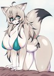 absurd_res ahoge all_fours alternate_species anthro anthrofied areola bent_over big_breasts big_butt bikini black_hair black_highlights blue_eyes blush breasts butt canid clothing female fur furrification hair hi_res highlights_(coloring) huge_breasts kemono looking_at_viewer mammal multicolored_body multicolored_fur multicolored_hair open_mouth solo swimwear tail tailzkim tan_body tan_fur tan_hair thick_thighs unknown_character white_body white_fur