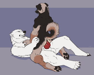anal anal_penetration animal_genitalia animal_penis anthro anus balls butt canine_genitalia canine_penis cowgirl_position duo erection eyes_closed eyewear from_front_position genitals glasses knot lying male male/male male_on_bottom male_on_top male_penetrated male_penetrating male_penetrating_male nude on_back on_bottom on_top penetration penis sex simple_background straddling sabretoothed_ermine bear canid canine canis domestic_dog mammal polar_bear ursine 2016 5:4
