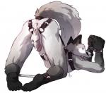 anthro anus balls bdsm bodily_fluids bondage bound cuff_(restraint) cum erection genital_fluids genitals harness humanoid_genitalia humanoid_penis intersex maleherm penis pussy restraints simple_background solo white_background wrist_cuffs gibbons bluepawzwolf canid canine fox mammal