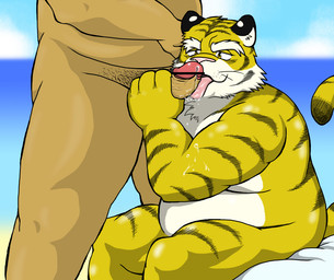 anthro belly duo erection fur genitals humanoid_hands kemono licking male male/male oral overweight overweight_male penile penis penis_lick pink_nose sex sitting tongue tongue_out white_body white_fur yellow_body yellow_fur garuganofu felid mammal pantherine tiger 2015