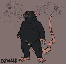 amputee anthro belly black_body black_fur disability fur male moobs overweight overweight_male simple_background solo baronboar mammal murid murine rat rodent 2024