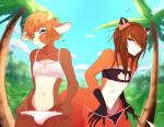 anthro bra bulge clothed clothing crossdressing duo featureless_crotch femboy horn looking_at_viewer male outside panties panties_down partially_clothed standing underwear underwear_down meowdolls bovid bovine canid canine fox mammal