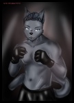 anthro athletic biped blue_eyes bottomwear boxing clothed clothing fist fur grey_body grey_fur looking_at_viewer male muscular muscular_anthro shorts solo sport standing topless koshkio rush domestic_cat felid feline felis mammal russian_blue