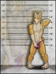 amixeduppuppy animal_genitalia anthro biped briefs bulge canid canine canis clothing domestic_dog flashing fully_sheathed genitals herding_dog looking_at_viewer male mammal mostly_nude mugshot pastoral_dog purple_clothing purple_underwear sheath smile solo standing tongue tongue_out underwear welsh_corgi
