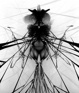 anthro bone creepy female grey_hair hair horror_(theme) long_hair skeleton skull skull_head solo supernatural transformation translucent mikelocesterlanders canid canine ghost mammal spirit absurd_res hi_res