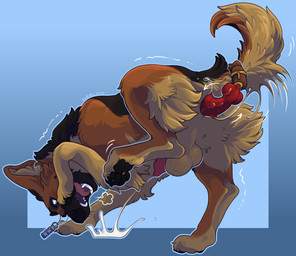 anal anal_masturbation anal_penetration animal_dildo animal_genitalia animal_penis animal_sex_toy anus balls blush bodily_fluids canine_dildo canine_genitalia canine_penis cum cumshot dildo ejaculation erection excited feral furgonomic_strapon genital_fluids genitals hands-free knot knotted_dildo male male_feral masturbation orgasm penetration penis raised_leg sex_toy shaking_orgasm solo strapon stretched_anus tail tail_harness tail_motion tongue tongue_out feralfather canid canine canis domestic_dog german_shepherd herding_dog mammal pastoral_dog hi_res
