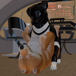 angry angry_sex asphyxiation black_body black_fur blind breath clothing deaf disability duo eyes_closed faceless_character faceless_male female feral feral_on_feral feral_penetrated feral_penetrating feral_penetrating_feral floor floppy_ears fluffy footwear fur futuristic_clothing futuristic_setting genitals glistening glistening_latex growling harness knot knotted_penis latex latex_clothing latex_footwear latex_harness latex_hood latex_socks lying lying_on_ground male male/female multicolored_body multicolored_fur on_back on_ground panting penetration penis pointy_ears questionable_consent realistic_feral science_fiction sensory_deprivation sex socks stretched_pussy tile tile_floor tongue tongue_out unable_to_speak vaginal vaginal_penetration white_body white_fur yellow_body yellow_fur anonyartist3d barkley_(canine_conundrum) unnamed_character border_collie canid canine canis collie domestic_dog herding_dog mammal pastoral_dog sheepdog shiba_inu spitz 1:1 3d_(artwork) digital_media_(artwork) hi_res