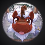 blep brown_body brown_eyes brown_scales eyelashes female feral fisheye_lens freckles fur gift horn looking_at_viewer peephole red_body red_fur scales solo tongue tongue_out winter dandy_(artist) asian_mythology chinese_mythology east_asian_mythology hasbro my_little_pony mythology fan_character dragon kirin mythological_creature mythological_scalie scalie 2023 absurd_res hi_res meme