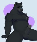 anthro balls black_body black_fur black_sclera bodily_fluids ear_piercing erection fur genital_fluids genitals humanoid_genitalia humanoid_penis looking_at_viewer male muscular muscular_male nipples pecs penis piercing precum simple_background solo tongue tongue_out zetameow bear mammal