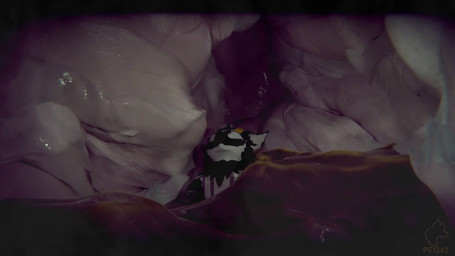 acid anthro anthro_prey bodily_fluids candy chocolate dessert digestion digestion_noises digestive_fluids digestive_juice food fully_inside happy horn inside_stomach internal larger_pred male oral_vore organs rumbling_stomach size_difference sleeping solo stomach stomach_acid tattoo unseen_pred vore peq42 sound_warning mythology peq_(peq42) dragon mythological_creature mythological_scalie nardoragon scalie 16:9 3d_(artwork) 3d_animation animated digital_media_(artwork) short_playtime sound video widescreen