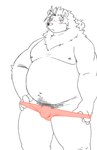 anthro belly big_belly blush bulge clothing humanoid_hands kemono male moobs navel nipples overweight overweight_male simple_background solo underwear white_background bear_2key mammal 2022 hi_res