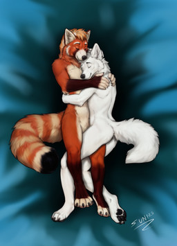 bedding bedding_background cuddling eyes_closed fluffy fluffy_tail fur hand_on_shoulders hug hugging_another markings orange_body orange_fur sleeping striped_markings striped_tail stripes tail tail_markings white_body white_fur sunitai ailurid mammal red_panda absurd_res hi_res