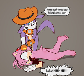 3_toes anthro barefoot blood bodily_fluids butt crying death dialogue dismemberment duo feet female forced forced_exposure gore gore_focus insult knife male nude nude_female pain profanity ryona severe_wound severed_arm severed_body_part severed_limb soles struggling suffering tears toes torture violence e254e sega sonic_the_hedgehog_(series) amy_rose fang_the_hunter dipodid eulipotyphlan hedgehog jerboa mammal rodent absurd_res hi_res