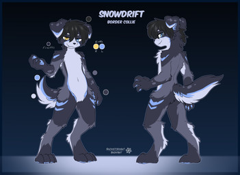 anthro floppy_ears fluffy freckles kemono male snowstormbat snowdrift_(snowstormbat) border_collie canid canine canis collie domestic_dog herding_dog mammal pastoral_dog sheepdog hi_res model_sheet